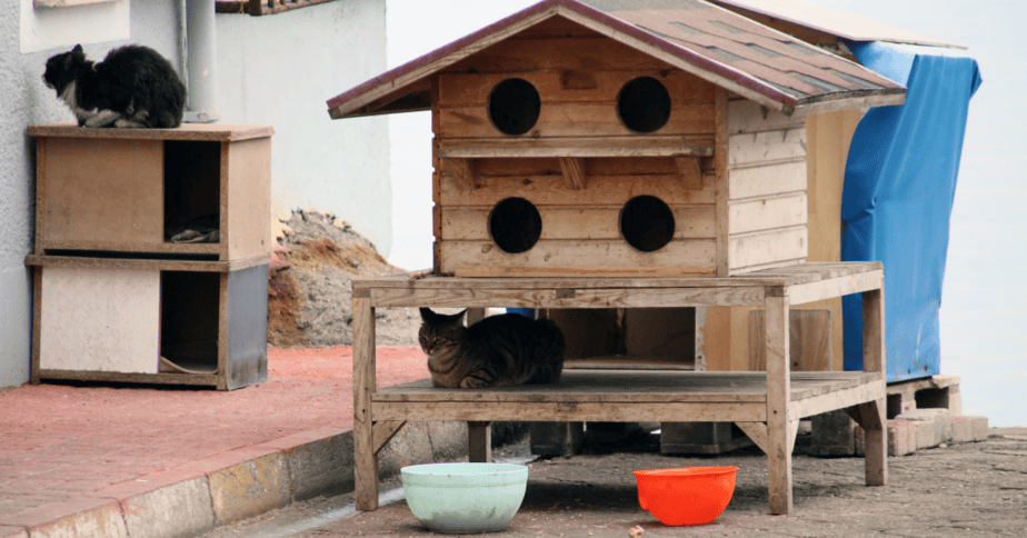 Free diy outlet catio plans